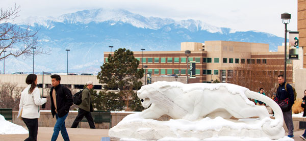 Mountain Lion Statue on the UCCS Campus
